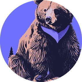 Situation Bear Design bear illustration